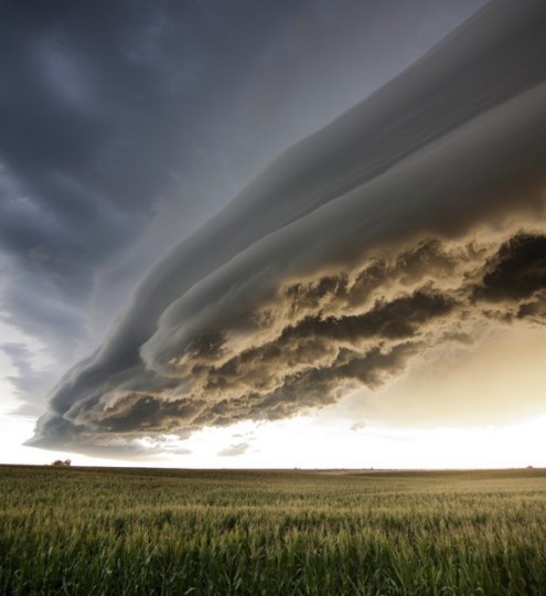 Cloud-shelf-cloud-550