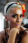 shorthairdoGray